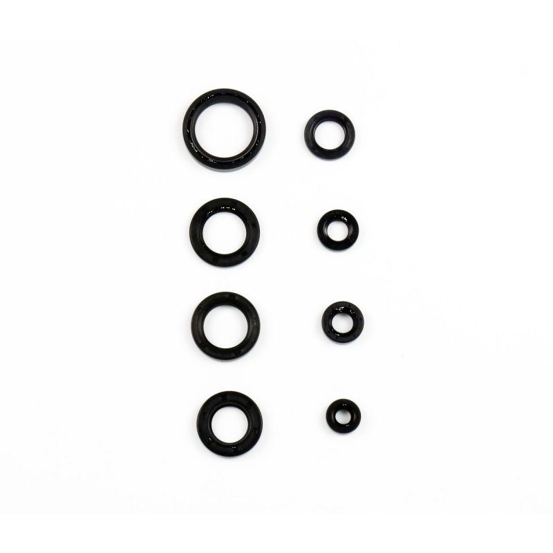 ENGINE OIL SEAL KIT - 09343075
