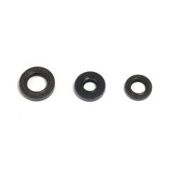 ENGINE OIL SEAL KIT - 09343076
