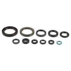 ENGINE OIL SEAL KIT - 09343080