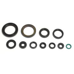 ENGINE OIL SEAL KIT - 09343080