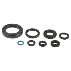 ENGINE OIL SEAL KIT - 09343081
