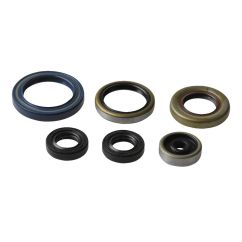 ENGINE OIL SEAL KIT - 09343083