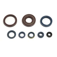 ENGINE OIL SEAL KIT - 09343084