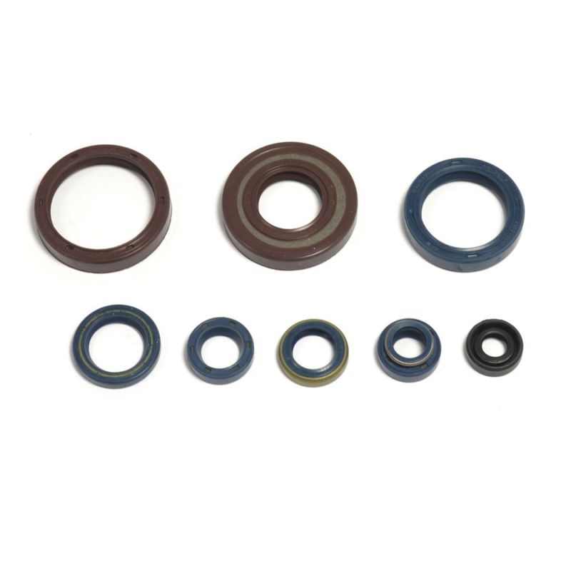 ENGINE OIL SEAL KIT - 09343084