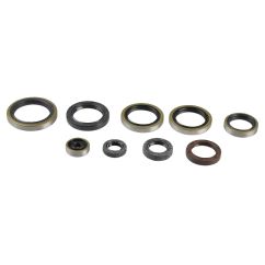 ENGINE OIL SEAL KIT - 09343085