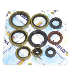 ENGINE OIL SEAL KIT - 09343085