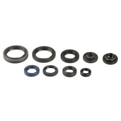 ENGINE OIL SEAL KIT - 09343086