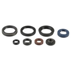 ENGINE OIL SEAL KIT - 09343088