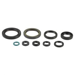 ENGINE OIL SEAL KIT - 09343089