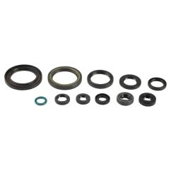 ENGINE OIL SEAL KIT - 09343090