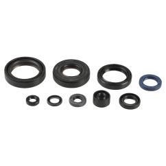 ENGINE OIL SEAL KIT - 09343092