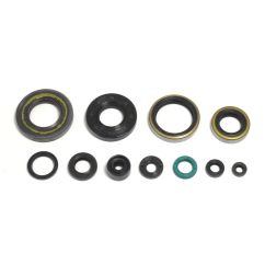 ENGINE OIL SEAL KIT - 09343093