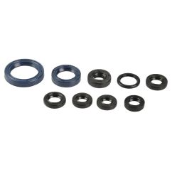 ENGINE OIL SEAL KIT - 09343094