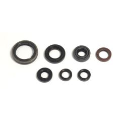 ENGINE OIL SEAL KIT - 09343095