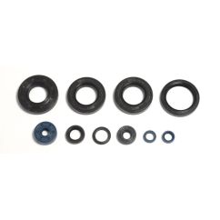ENGINE OIL SEAL KIT - 09343097