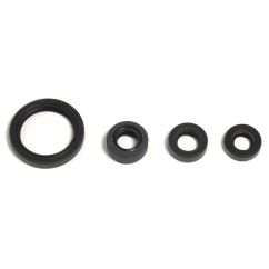 ENGINE OIL SEAL KIT - 09343098