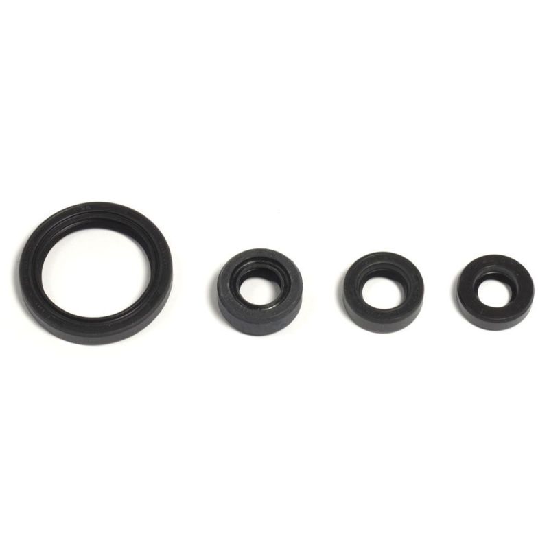 ENGINE OIL SEAL KIT - 09343098