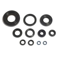 ENGINE OIL SEAL KIT - 09343099