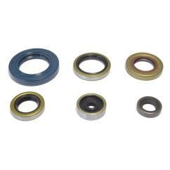 ENGINE OIL SEAL KIT - 09343105