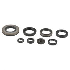 ENGINE OIL SEAL KIT - 09343106