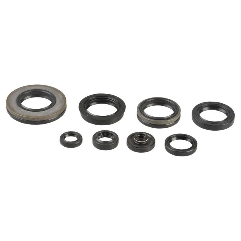 ENGINE OIL SEAL KIT - 09343106