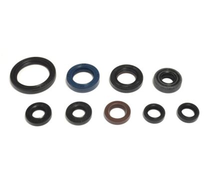 ENGINE OIL SEAL KIT - 09343107