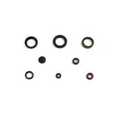 ENGINE OIL SEAL KIT - 09345033