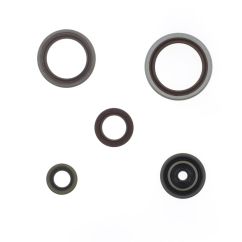 ENGINE OIL SEALS KIT - 09347899