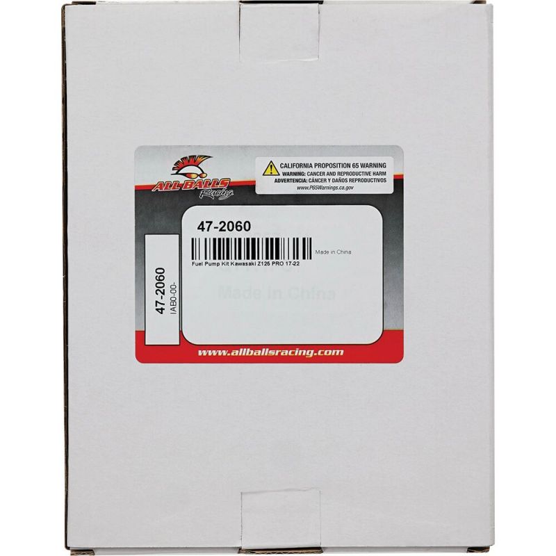 FUEL PUMP REBUILD KIT - 10090182