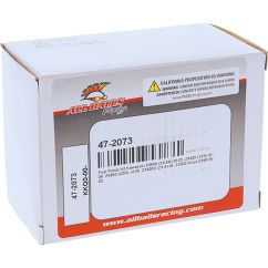 FUEL PUMP REBUILD KIT - 10090185