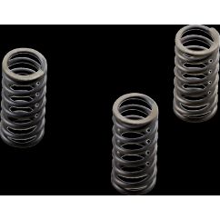 CLUTCH SPRING KIT COIL SPRING CSK SERIES STEEL - 11313294