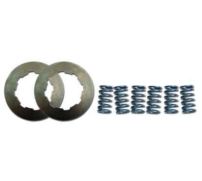 CLUTCH SPRING KIT COIL SPRING CSK SERIES STEEL - 11312646