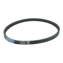 TRANSMISSION BELT STANDARD - 11420123