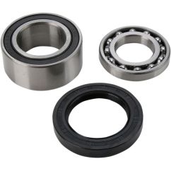 CHAINCASE BEARING & SEAL KIT ARCTIC-CAT - 12310324
