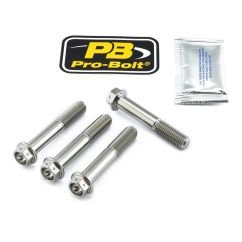 BRAKE CALIPER MOUNTING BOLT KIT TIT RC - 17020537