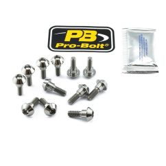 BRAKE ROTOR BOLT KIT TITANIUM - 17104134