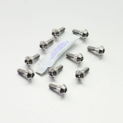 BRAKE ROTOR BOLT KIT TITANIUM - 17104135
