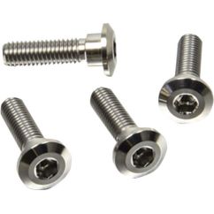 BRAKE ROTOR BOLT KIT TITANIUM - 17104140