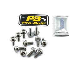 BRAKE ROTOR BOLT KIT TITANIUM - 17104143