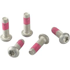BRAKE DISC BOLT - 17310575
