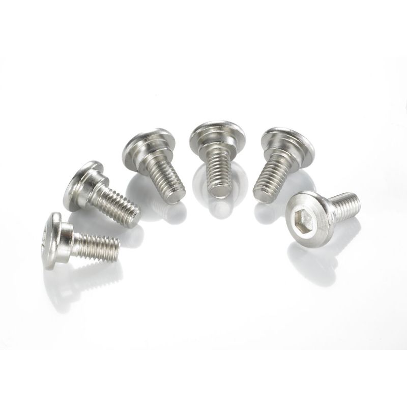 BRAKE ROTOR BOLTS - 17310673