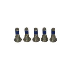 BRAKE ROTOR BOLTS - 17310695