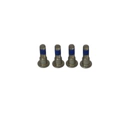 BRAKE ROTOR BOLTS - 17310696