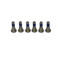 BRAKE ROTOR BOLTS - 17310697