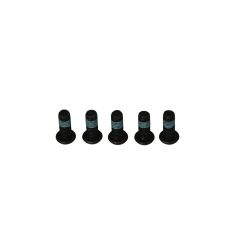 BRAKE ROTOR BOLTS - 17310698