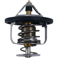THERMOSTAT POLARIS - 19021707