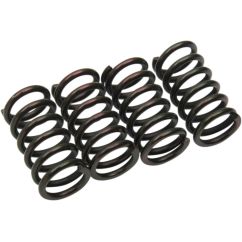CLUTCH SPING KIT SET OF 4 - 2012312