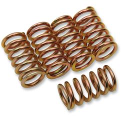 CLUTCH SPING KIT SET OF 5 - 2012315