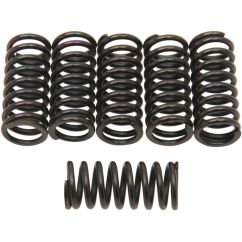 CLUTCH SPING KIT SET OF 6