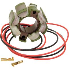STATOR OEM STYLE - 21120732